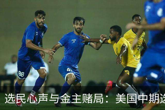 选民心声与金主赌局：美国中期选举的双面碰撞